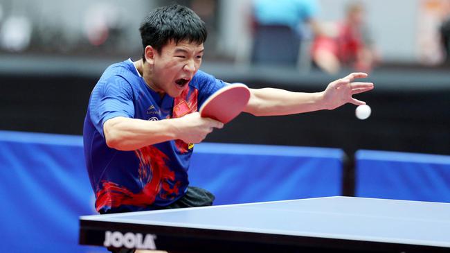 主教练果断 主教练果断